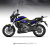 Energica