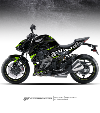 KAWASAKI Z1000 – CRYPTEX