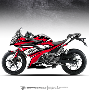 NINJA 300 – FAST STRIPES