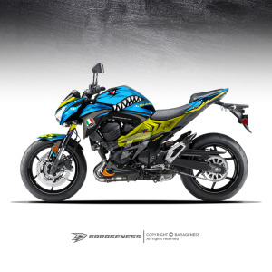 KAWASAKI Z800 - FINDING NEMO