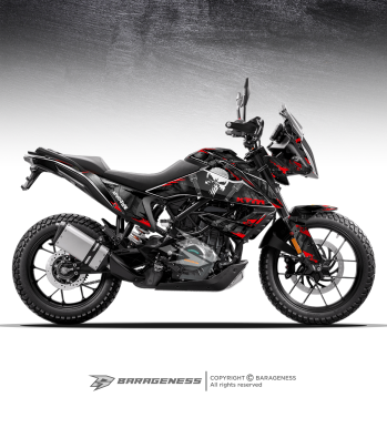 KTM 390/250 ADV – PUNISHER