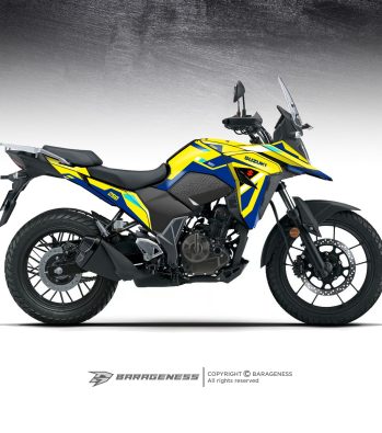 V STROM – RALLY E