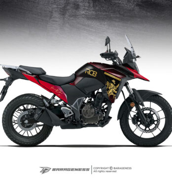 V STROM – RCB Special